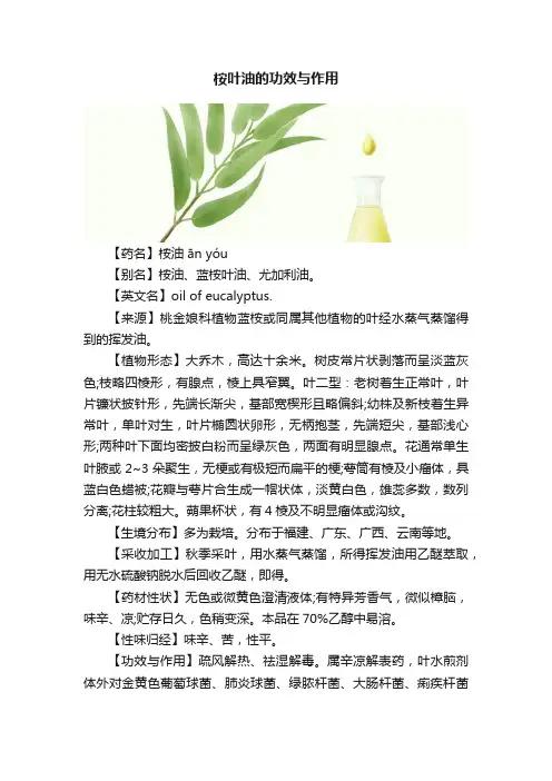 桉叶油的功效与作用