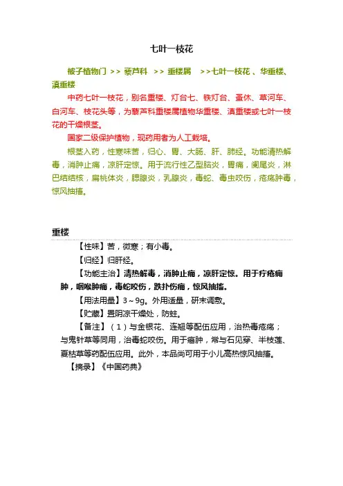七叶一枝花