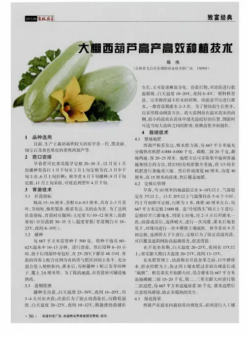 大棚西葫芦高产高效种植技术