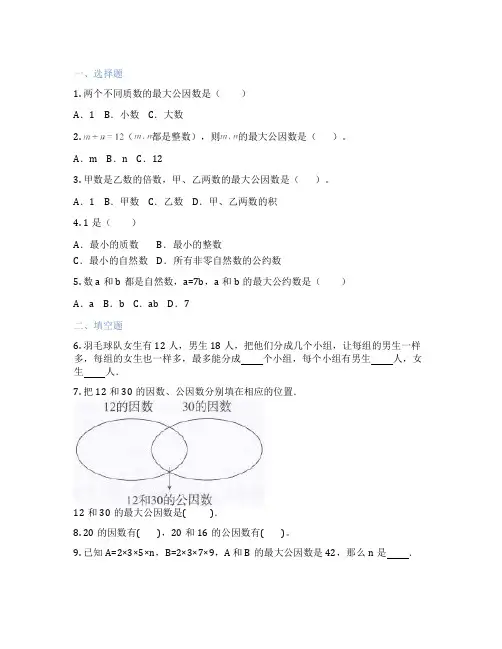 人教版数学 五年级下册 最大公因数 课后练习题