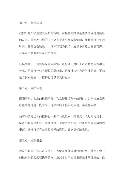 花换土换盆注意事项
