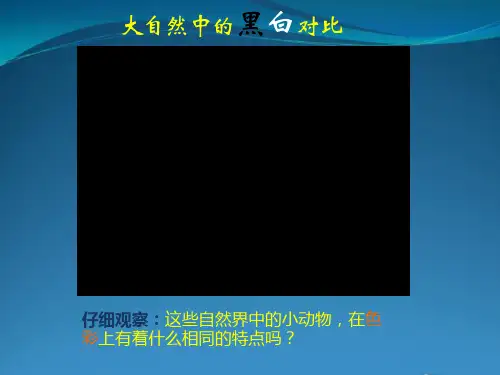 线描画中的黑白对比PPT.