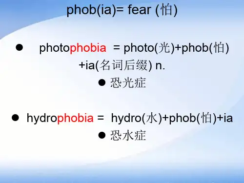 初中英语词汇学精美课件ppt (3)
