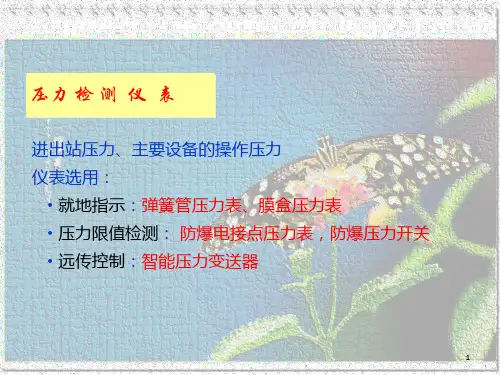 压力表以及压力变送器 共51页