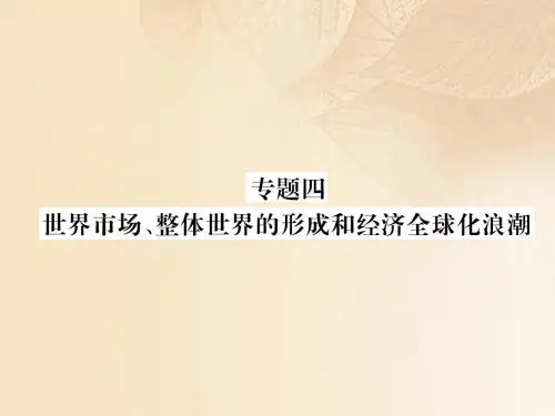 四川省宜宾市2018年中考历史总复习专题4世界市场整体世界的形成和经济全球化浪潮课件