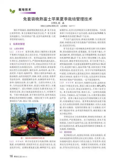 免套袋晚熟富士苹果夏季栽培管理技术