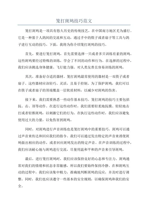 笼打斑鸠技巧范文