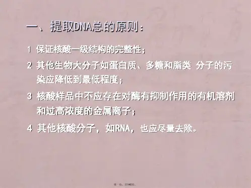 提取基因组DNA