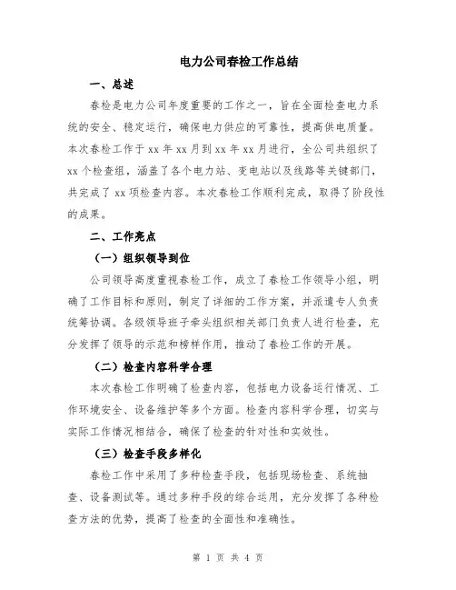 电力公司春检工作总结