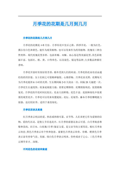 月季花的花期是几月到几月