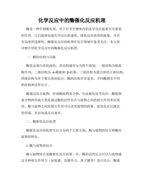 化学反应中的酶催化反应机理