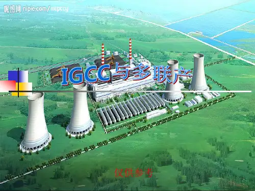 IGCC与多联产