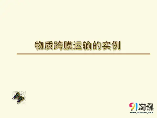 原创9：4.1 物质跨膜运输的实例 