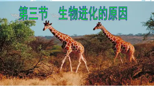 新人教版八年级生物下册第三节生物进化的原因ppt课件-精选课件