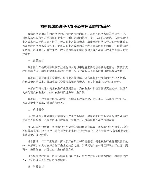构建县域经济现代农业经营体系的有效途径