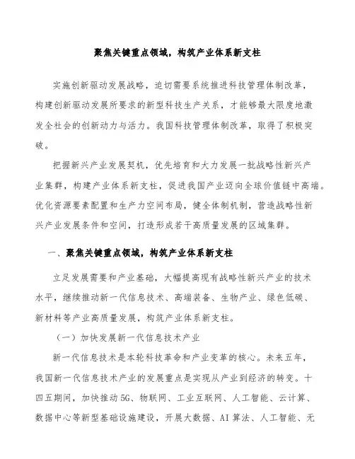 聚焦关键重点领域,构筑产业体系新支柱
