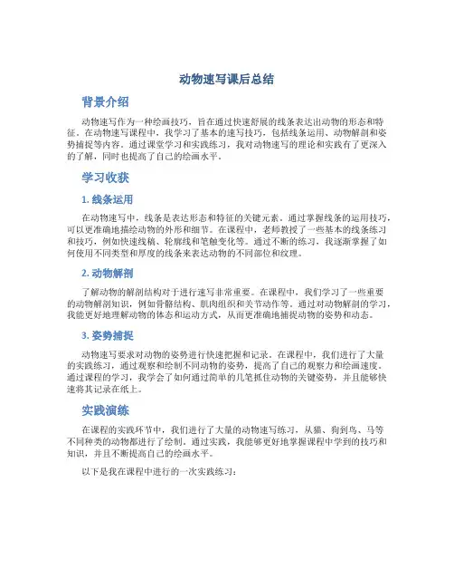 动物速写课后总结