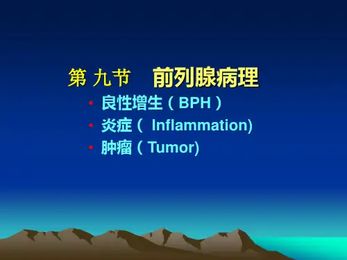 前列腺讲课
