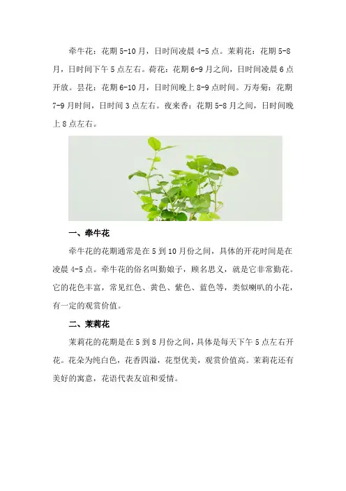 花开放的时间有哪些花
