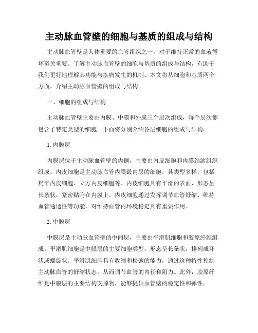 主动脉血管壁的细胞与基质的组成与结构