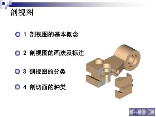 剖视图