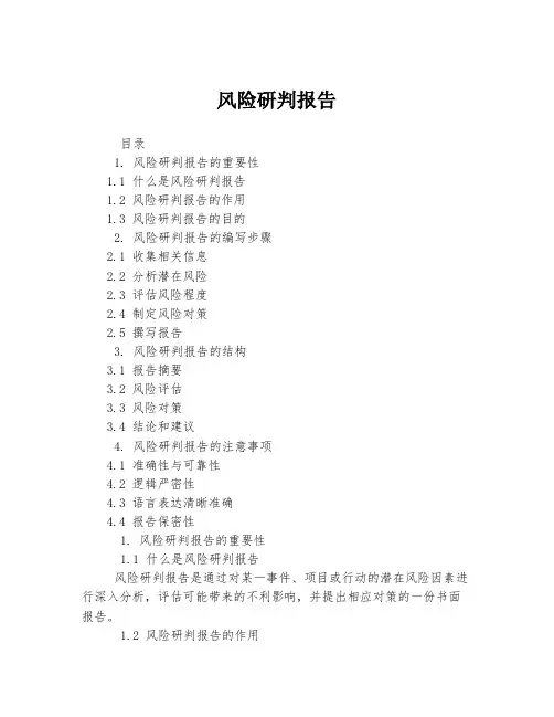 风险研判报告