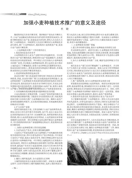 加强小麦种植技术推广的意义及途径