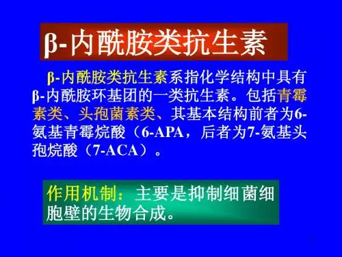 β-内酰胺类抗生素