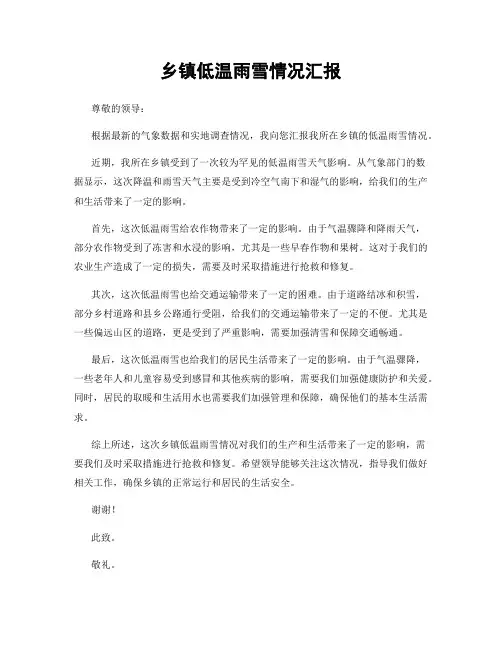 乡镇低温雨雪情况汇报