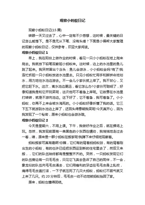 观察小蚂蚁日记（15篇）