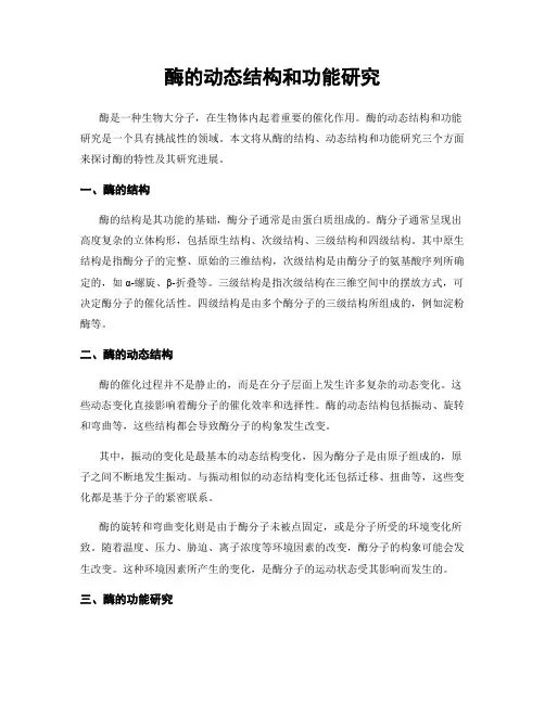 酶的动态结构和功能研究