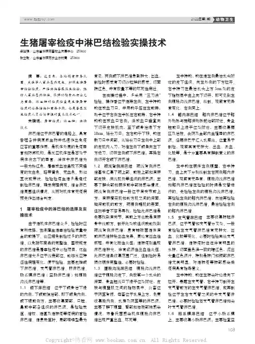 生猪屠宰检疫中淋巴结检验实操技术