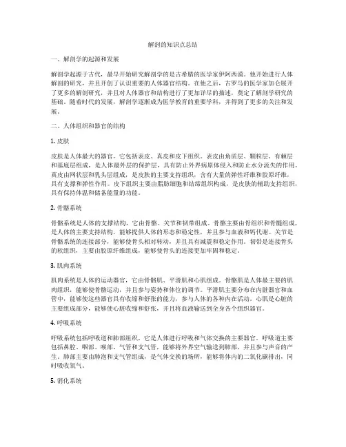 解剖的知识点总结