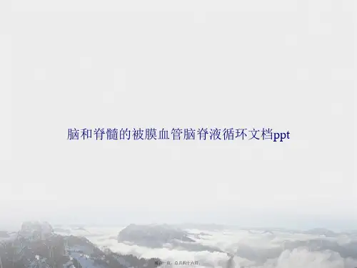 脑和脊髓的被膜血管脑脊液循环讲课文档