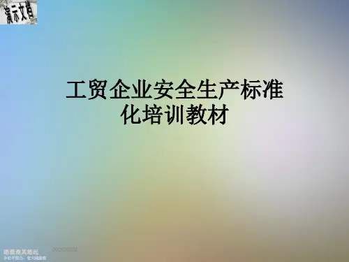 工贸企业安全生产标准化培训教材