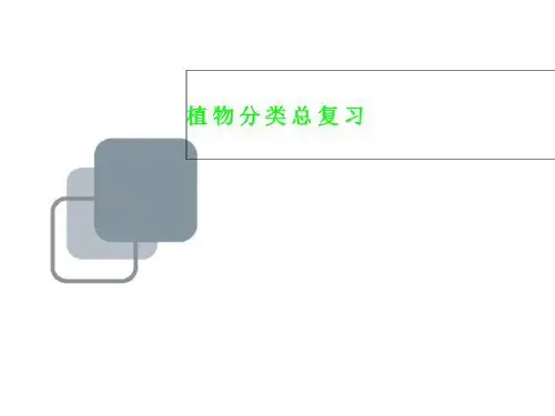 植物分类总复习