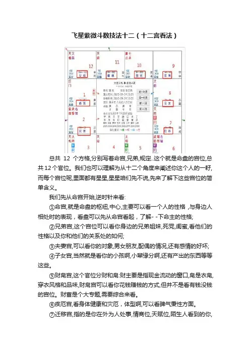飞星紫微斗数技法十二（十二宫看法）
