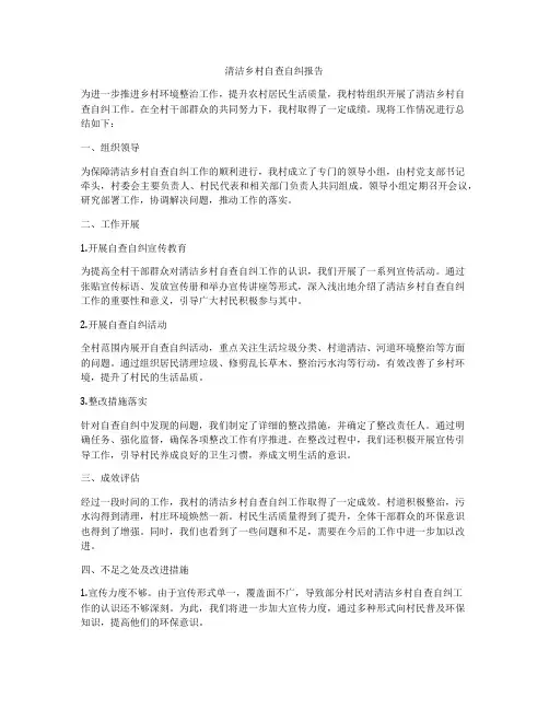 清洁乡村自查自纠报告