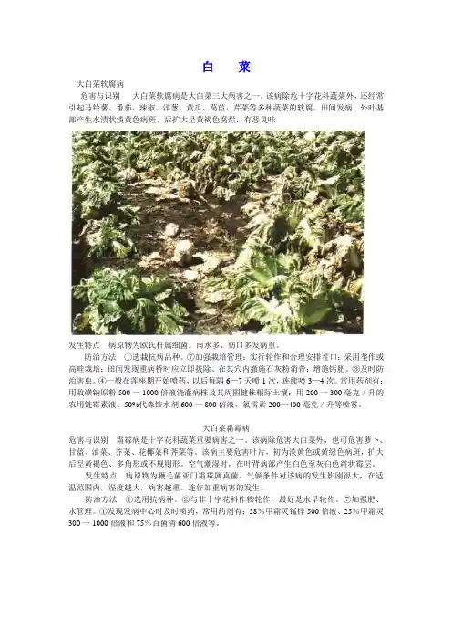白菜病虫害防治图说大全