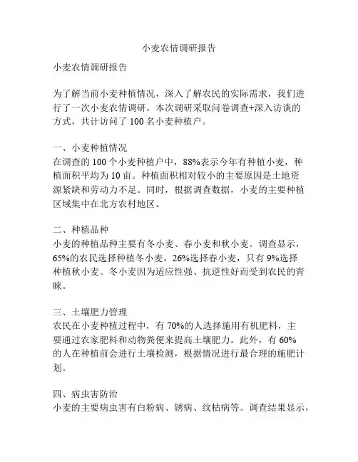 小麦农情调研报告