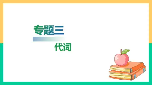 高职院校单独招生考试英语复习指导通用版第一部分基础知识梳理专题三代词