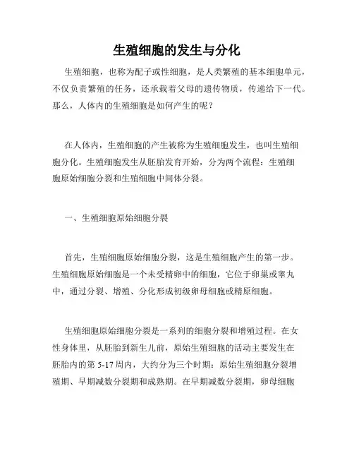 生殖细胞的发生与分化