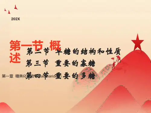 《糖类化合物》课件