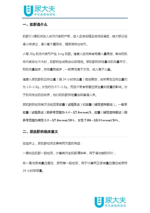 肌酐的临床意义