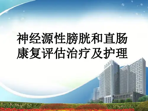 神经源性膀胱的评估治疗及护理 - 复制