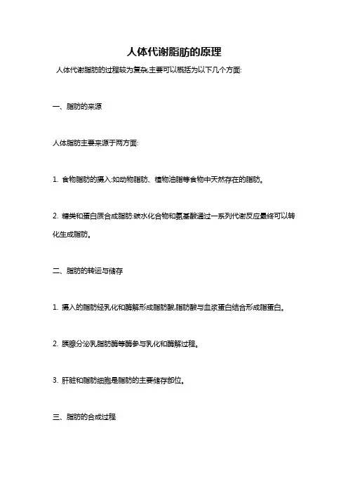 人体代谢脂肪的原理