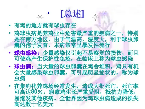 球虫病  寄生虫病学_PPT幻灯片