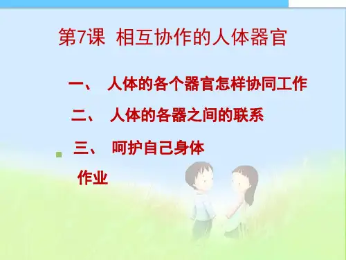 最新教科版小学四年级科学上册第7课_相互协作的人体器官精品课件