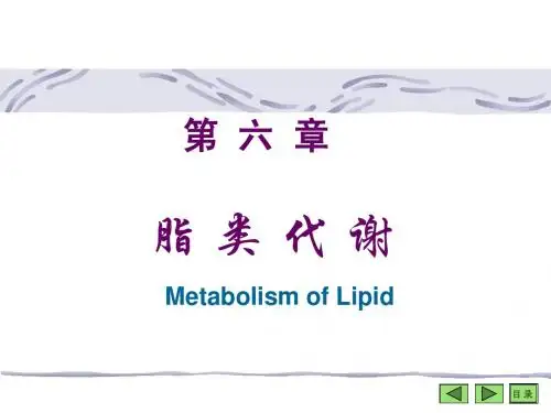 生物化学之脂类的代谢