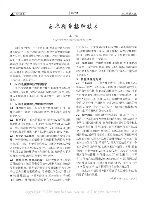 玉米精量播种技术